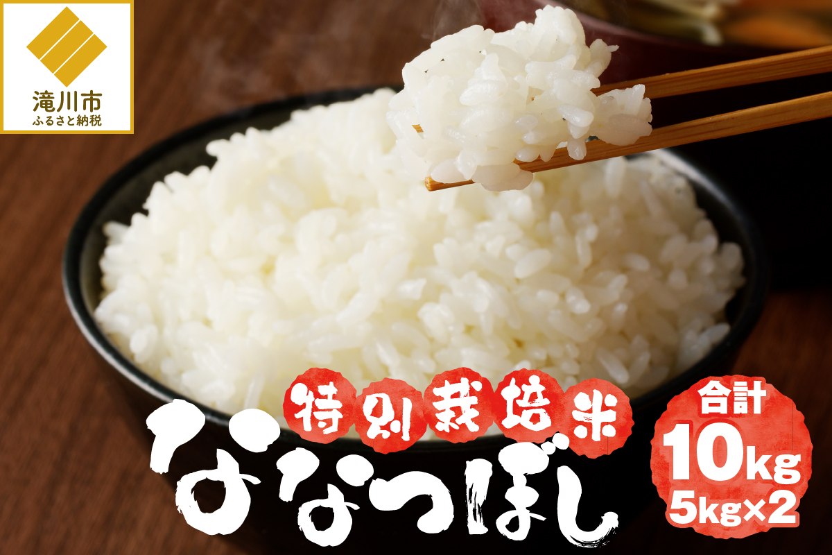 《令和7年産》特別栽培米ななつぼし 10kg | 16年連続特A ブランド米 白米 精米 米 お米 こめ 減農薬 単一原料米 ご飯 贈答 ギフト 北海道米 北海道 滝川市