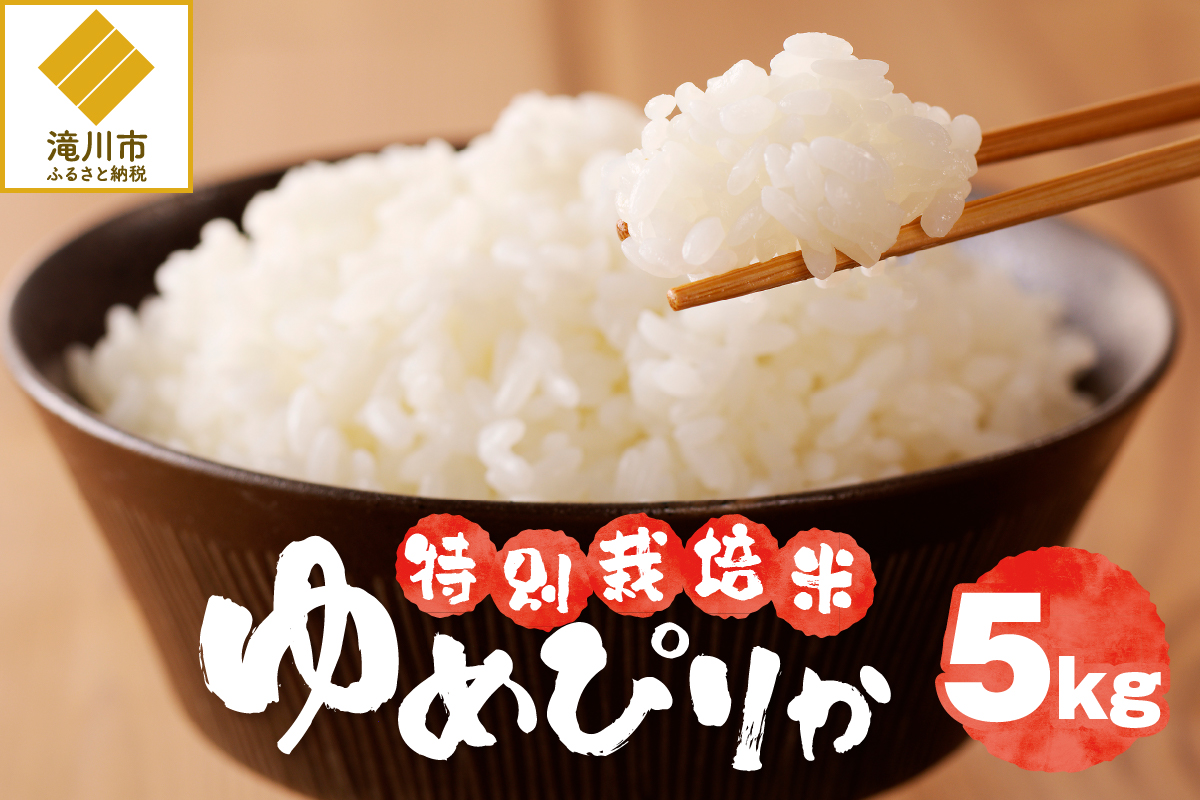 《令和7年産》特別栽培米ゆめぴりか 5kg | 16年連続特A ブランド米 白米 精米 米 お米 こめ 減農薬 単一原料米 ご飯 贈答 ギフト お試し 北海道米 北海道 滝川市
