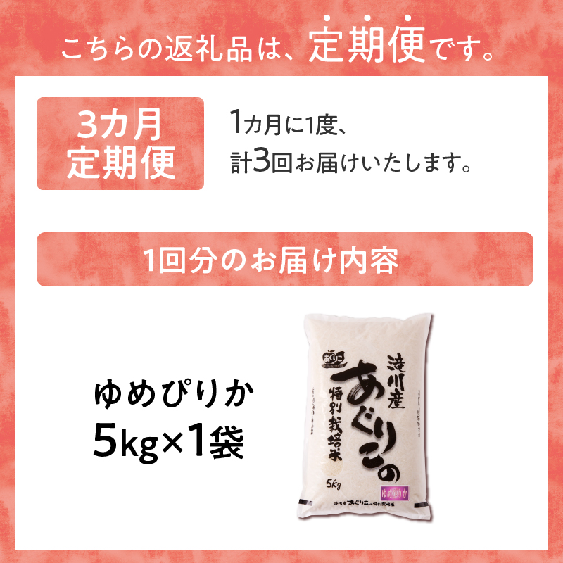 《令和7年産》特別栽培米ゆめぴりか 5kg×3ヵ月定期便 | 16年連続特A ブランド米 白米 精米 米 お米 こめ 減農薬 単一原料米 ご飯 北海道米 北海道 滝川市
