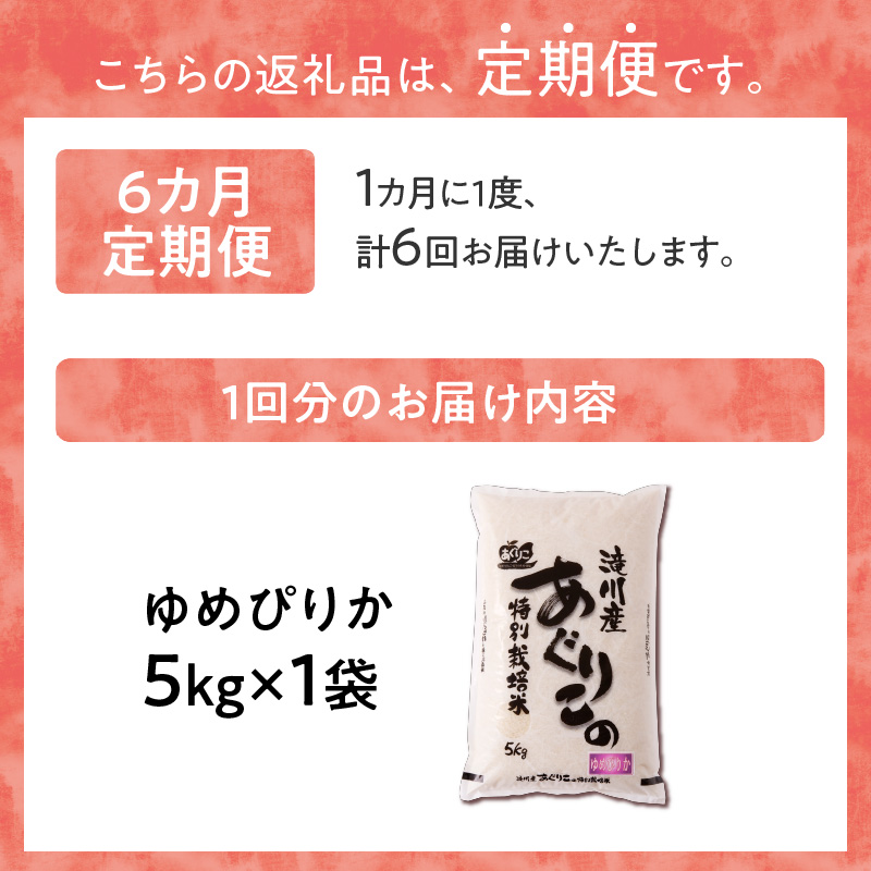 《令和7年産》特別栽培米ゆめぴりか 5kg×6ヵ月定期便 | 16年連続特A ブランド米 白米 精米 米 お米 こめ 減農薬 単一原料米 ご飯 北海道米 北海道 滝川市
