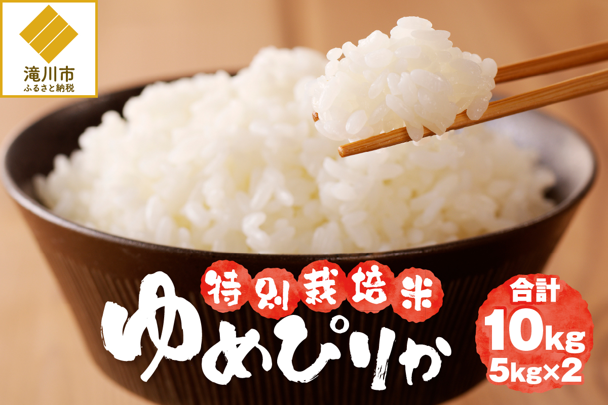 《令和7年産》特別栽培米ゆめぴりか 10kg | 16年連続特A ブランド米 白米 精米 米 お米 こめ 減農薬 単一原料米 ご飯 贈答 ギフト 北海道米 北海道 滝川市