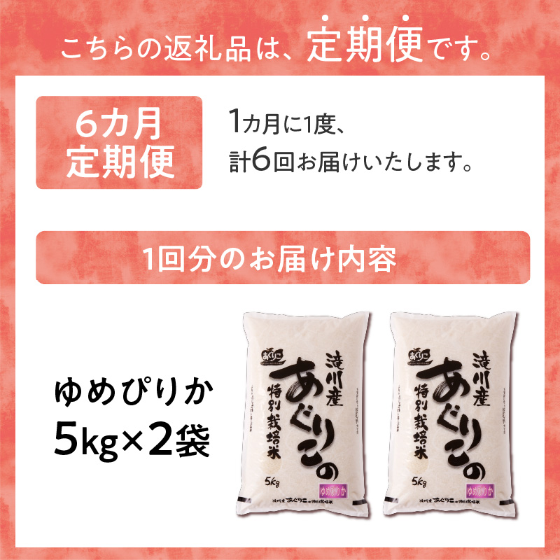 《令和7年産》特別栽培米ゆめぴりか 10kg×6ヵ月定期便 | 16年連続特A ブランド米 白米 精米 米 お米 こめ 減農薬 単一原料米 ご飯 北海道米 北海道 滝川市