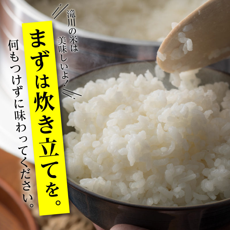 《令和7年産》ななつぼし2kg | 特A 白米 ブランド米 米 こめ コメ お米 ご飯 ごはん 単一米 滝川市 北海道 北海道産 道産 北海道米 生活応援 送料無料 おすすめ 人気 お弁当 贈答