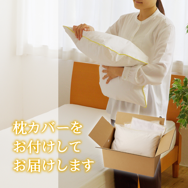 【国内ホテル・旅館70%シェア】寝具2点セット (クイーン) 国内生産 羽毛布団 掛け布団 ふとん まくら | 日本製 洗える 寝具 ベッド 布団 生地 綿100％ クリーニング 枕 羽毛 受注生産 一流ホテル 北海道 【 滝川市 】