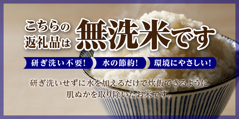 《令和8年2月発送》令和７年産【先行受付】滝川産ななつぼし 無洗米 5kg お米マイスター 新米 特Ａ ブランド米 北海道 皇室 白米 精米 米 こめ コメ お米 単一米 ご飯 ごはん 生活応援 送料無料 北海道産 道産 道産米 おすすめ 人気 限定 贈答 お試し