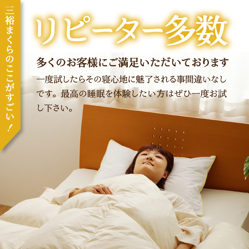 【国内ホテル・旅館70%シェア】寝具2点セット (セミダブル) 国内生産 羽毛布団 掛け布団 ふとん まくら | 日本製 洗える 寝具 ベッド 布団 生地 綿100％ クリーニング 枕 羽毛 受注生産 一流ホテル 北海道 【 滝川市 】