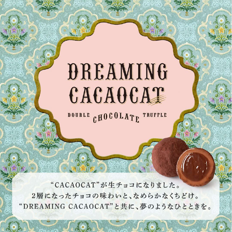 ウェカラパスペシャルティコーヒー（2種8袋）とDREAMING CACAOCATチョコレート（12個入1缶）のセット