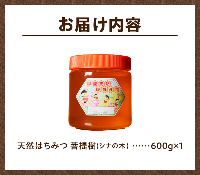 2024年新蜜【北海道滝川産】高見養蜂場の純粋はちみつ(菩提樹、シナの木600g×1本)