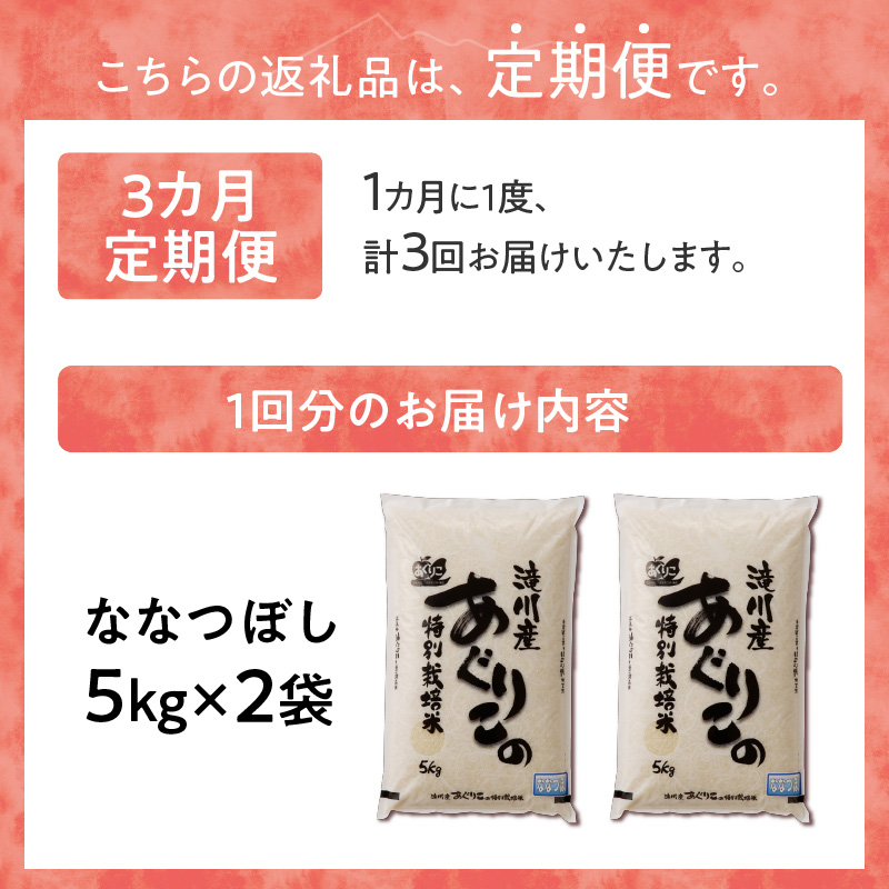 特別栽培ななつぼし 5kg×2袋 3ヶ月連続