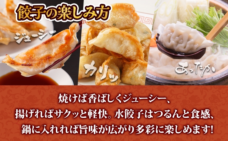 【大容量】北海道産豚肉のぎょうざ 120個!冷凍餃子 ギョーザ 国産 焼餃子 点心 滝川市 冷凍食品