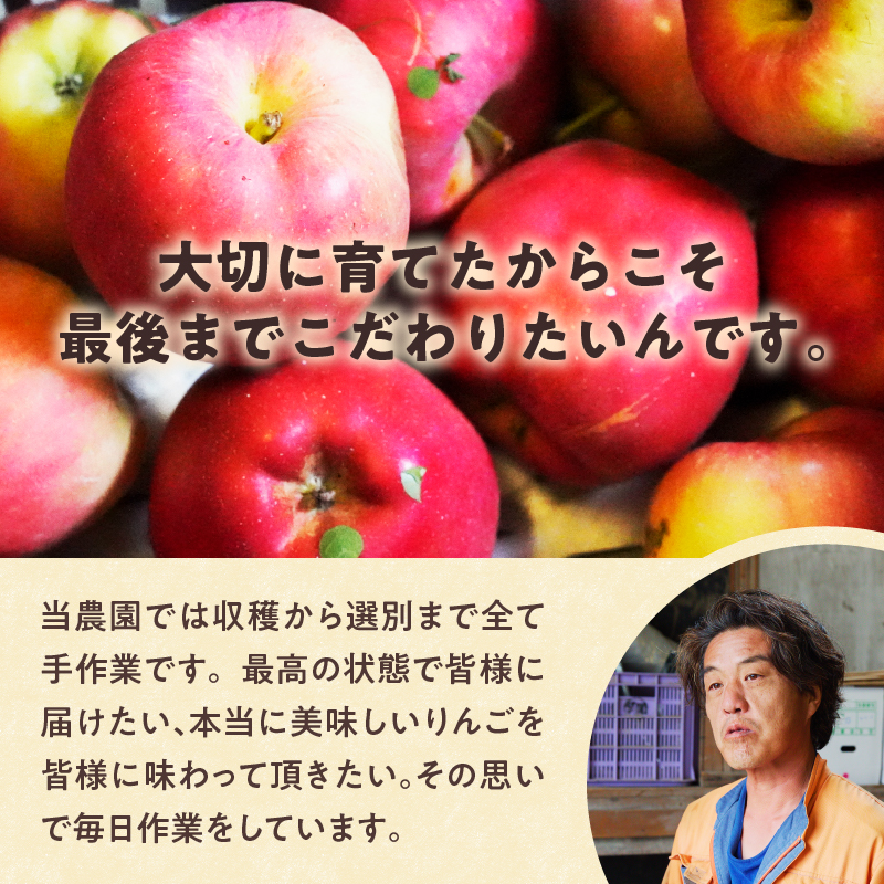 【令和6年出荷受付】弘前ふじりんご　約4kg