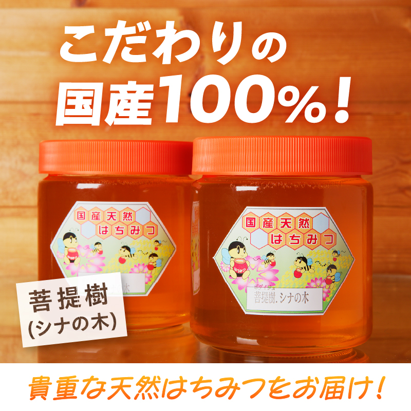2024年新蜜【北海道滝川産】高見養蜂場の純粋はちみつ(菩提樹、シナの木600g×2本)
