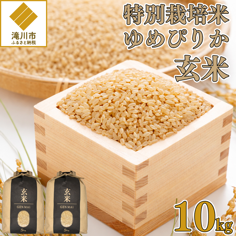 【特別栽培米】令和7年産 滝川産ゆめぴりか【玄米】10kg 特A ブランド米 北海道 | 米 こめ お米 単一米
