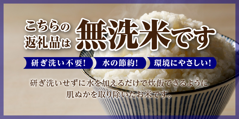 《令和8年産先行予約》滝川産ななつぼし無洗米 6kg お米マイスター 新米 特A ブランド米 北海道 皇室 白米 精米 米 こめ コメ お米 単一米 ご飯 ごはん 生活応援 送料無料 北海道産 道産 北海道米 おすすめ 人気 限定 贈答 お試し