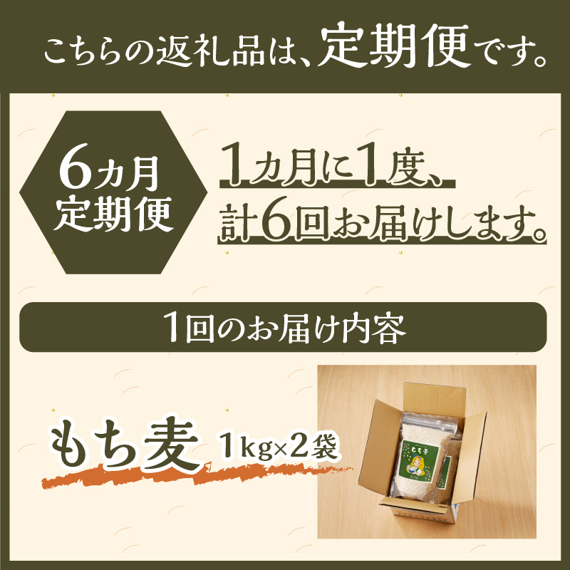 【豊富な食物繊維】もち麦6ヶ月連続お届け