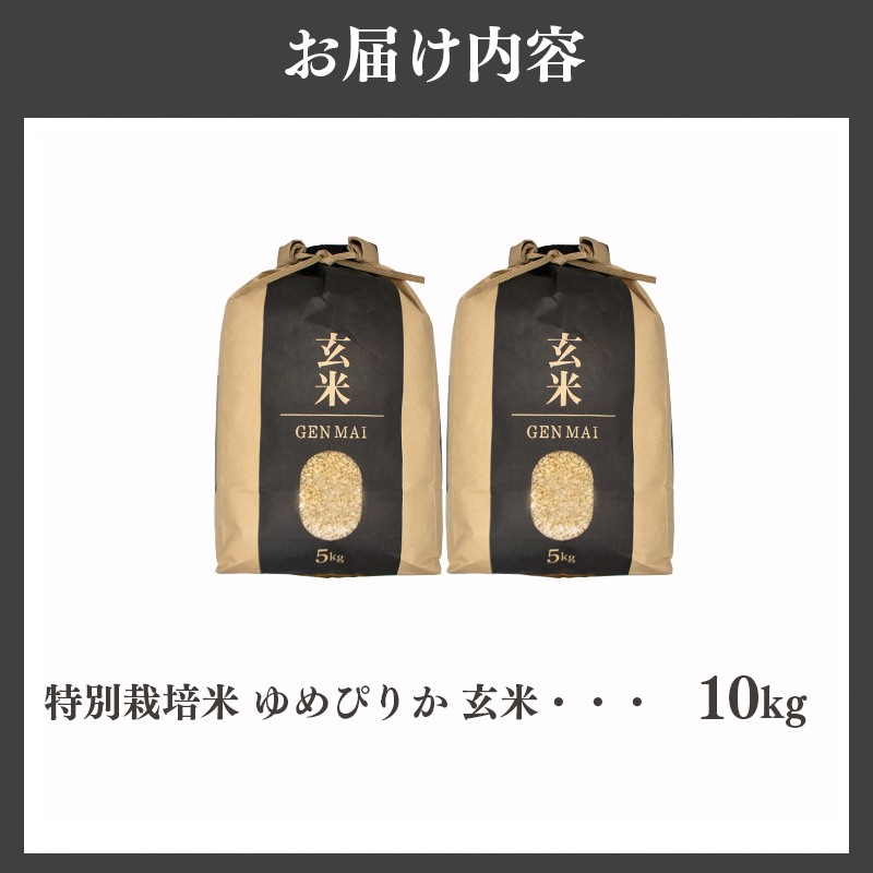 【特別栽培米】令和7年産 滝川産ゆめぴりか【玄米】10kg 特A ブランド米 北海道 | 米 こめ お米 単一米
