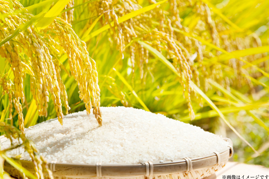 米 令和7年 北海道産 ゆめぴりか 5kg×2 計10kg ホクレンパールライス [ホクレン商事 北海道 砂川市 12260952] 令和7年産 精米 白米 お米 こめ コメ ご飯 10キロ