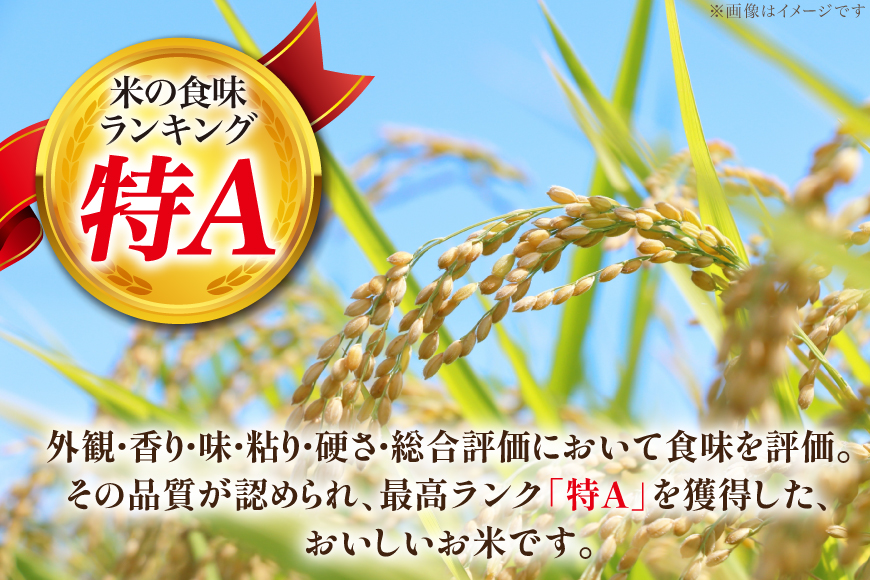 米 令和7年産 JA新すながわ産 ななつぼし 5kg [ホクレン商事 北海道 砂川市 12260894] お米 北海道産 ブランド米 北海道米 コメ 白米 ごはん ご飯 国産