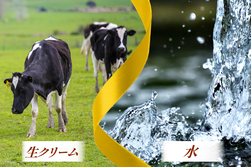 バウムクーヘン 妖精の森 [北菓楼 北海道 砂川市 12260528] レビューキャンペーン