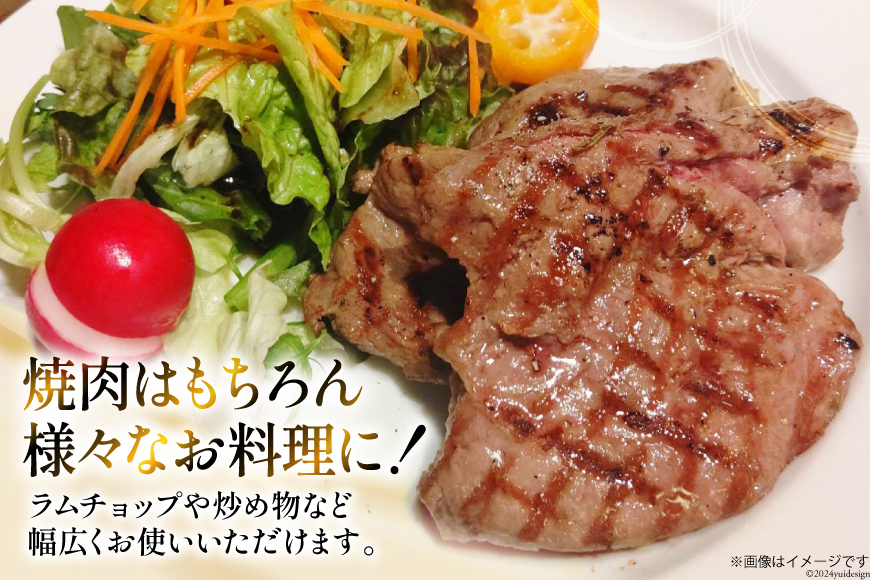 ラム肉 冷凍 ラム肩ロース 200g 4パック 計800g [焼肉銀座園 北海道 砂川市 12260733-b] 羊肉 羊 肉 小分け 焼肉 焼き肉 やきにく