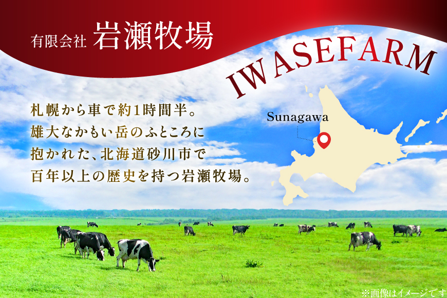 テレビで紹介！ アイス ジェラート 抹茶 1L ファミリーサイズ ジャンボサイズ [岩瀬牧場 北海道 砂川市 12260965] 冷凍 アイスクリーム 詰め合わせ スイーツ