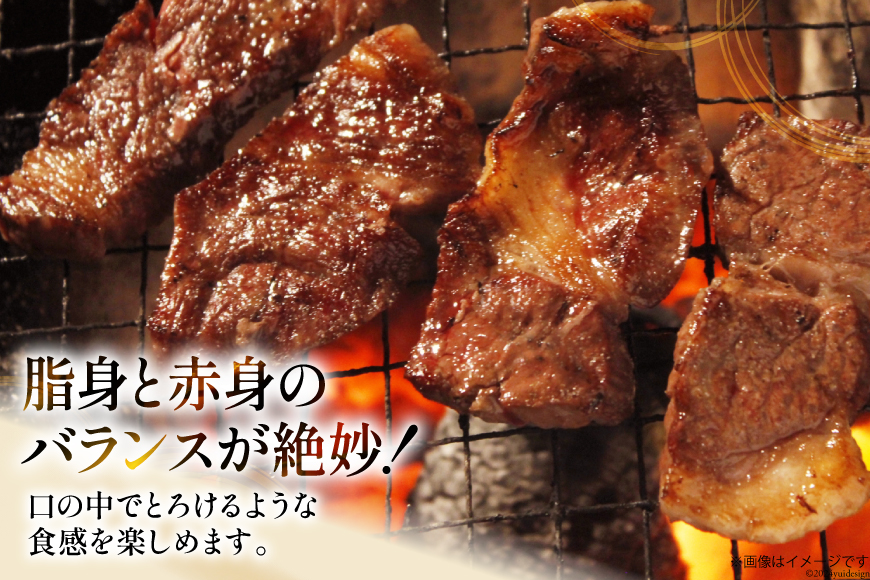 サガリ 牛 上サガリ 200g 2パック 計400g [焼肉銀座園 北海道 砂川市 12260732-a] 冷凍 焼肉 焼き肉 牛肉 肉 小分け やきにく 