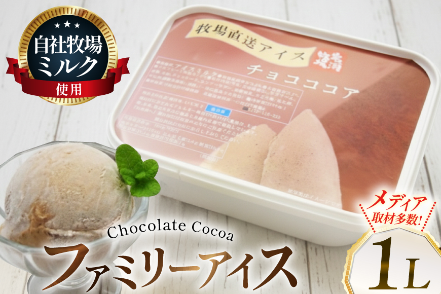 テレビで紹介！ アイス ジェラート チョコココア 1L ファミリーサイズ ジャンボサイズ [岩瀬牧場 北海道 砂川市 12260966] 冷凍 アイスクリーム 詰め合わせ スイーツ