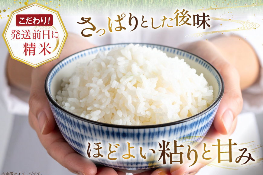 米 令和7年産 ななつぼし 6kg (5kg＋1kg) 6ヶ月 定期便 計36kg [松田産業 北海道 砂川市 12260866] お米 こめ コメ ナナツボシ 精米 おこめ 定期 レビューキャンペーン