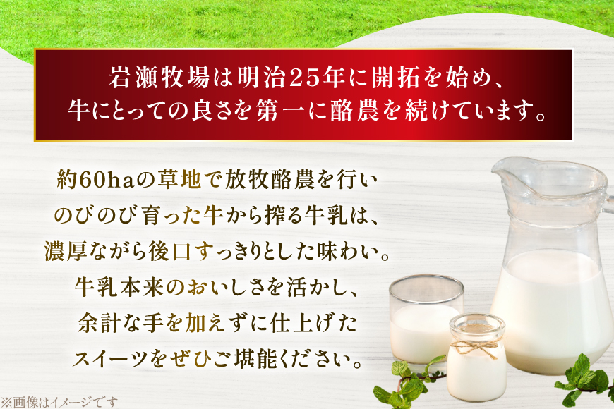 シュークリーム 冷凍 8個 [岩瀬牧場 北海道 砂川市 12260955] 冷凍配送 お菓子 おやつ お取り寄せ スイーツ しゅーくりーむ