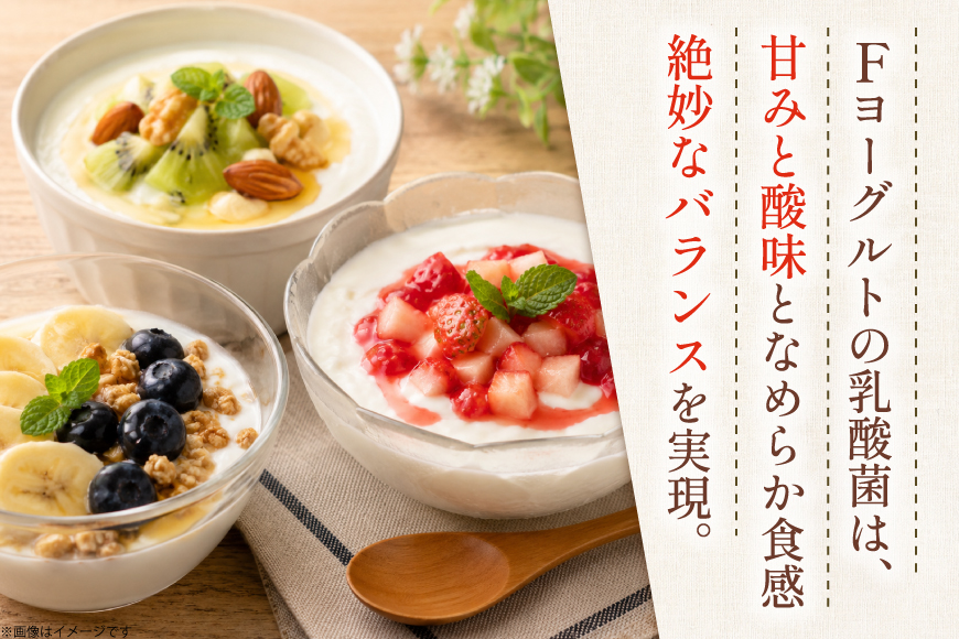 ヨーグルト 北海道 ギリシャヨーグルト グリークヨーグルト 600g ＜ギリシャヨーグルト専門店 F -エフ- ＞ [ほんだ菓子司 北海道 砂川市 12261092] ふるさと納税 スイーツ デザート 朝食 朝ごはん 手軽 北海道産