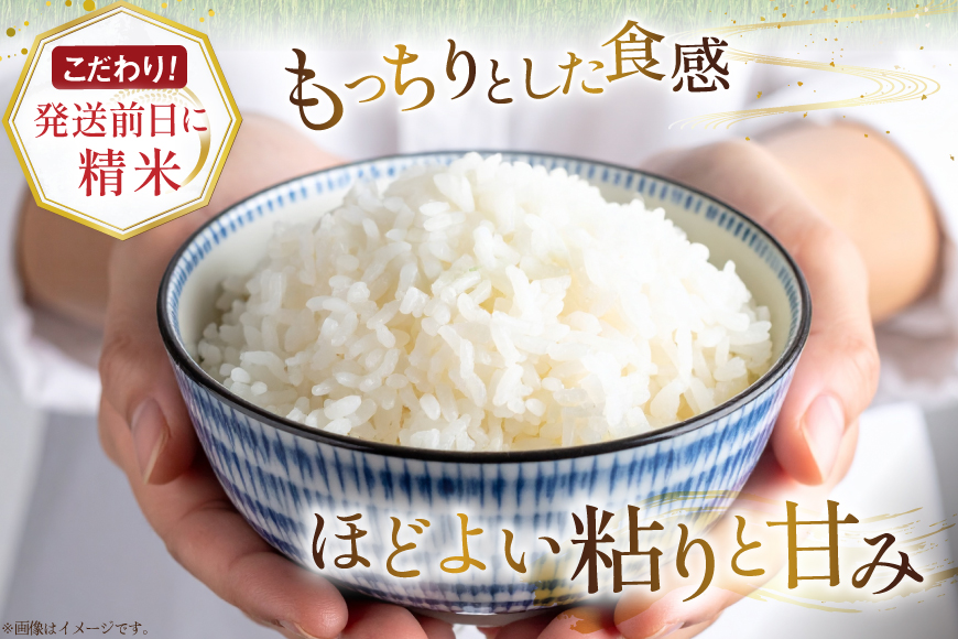 米 令和7年産 ゆめぴりか 5kg×3ヶ月 定期便 計15kg 砂川産 特A [松田産業 北海道 砂川市 12260865] お米 こめ コメ ユメピリカ 精米 おこめ 定期 レビューキャンペーン