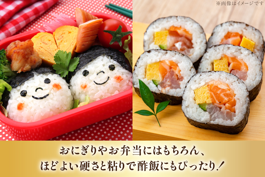 米 令和7年産 JA新すながわ産 ななつぼし 5kg [ホクレン商事 北海道 砂川市 12260894] お米 北海道産 ブランド米 北海道米 コメ 白米 ごはん ご飯 国産