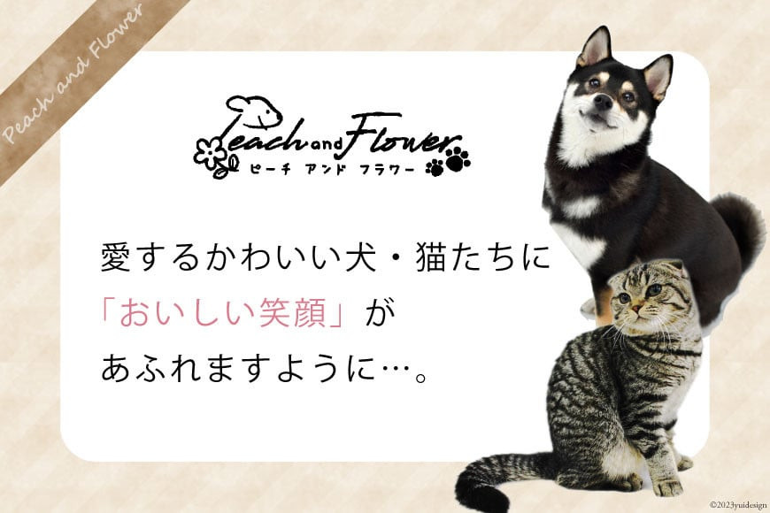 6回 定期便 ペットフード 犬 猫 鶏ささみ スティック (プレーンタイプ) 30g 3袋 計90g [ピーチアンドフラワー 北海道 歌志内市 01227ai054] ジャーキー エサ 餌 犬用 ドッグフード いぬ 猫用 キャットフード ねこ ペット おやつ 手作り 国産