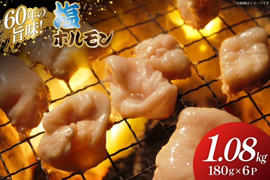 塩 ホルモン 計1.08kg(180g×6p) [木村精肉店 北海道 歌志内市 01227al004] 小分け 冷凍 焼き肉 焼肉 豚