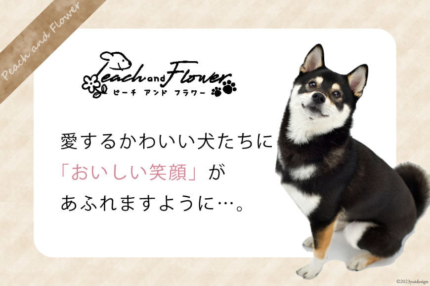 ドッグフード 無添加 りんごのチップス 20g×6袋 ペット 犬用 おやつ [ピーチアンドフラワー 北海道 歌志内市 01227ae003]							