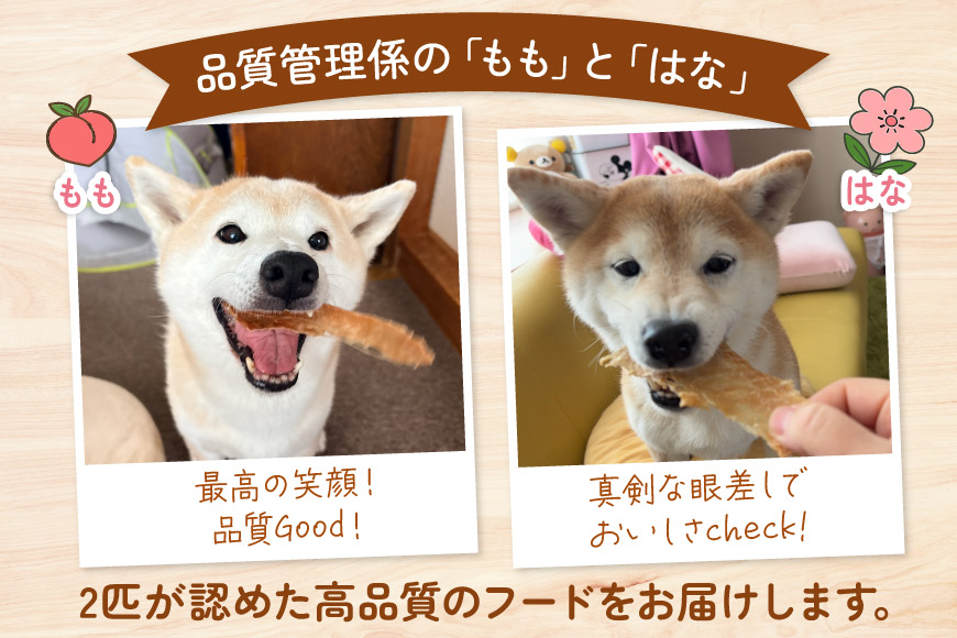 犬 ペット 鶏ささみ スティック (プレーンタイプ) 30g 3袋 計90g [ピーチアンドフラワー 北海道 歌志内市 01227ai070] ペットフード ドッグフード 犬 猫 ペット おやつ 餌 エサ オヤツ プレーン スティック ふるさと納税