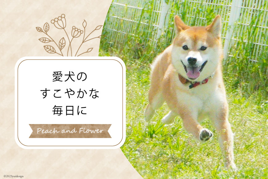 犬猫用 お散歩 ショルダーパーツ オレンジ系 [Peach and Flower 北海道 歌志内市 01227an016] ペット ペットグッズ リード ショルダー