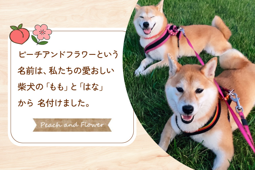 犬 ペット 鶏ささみ スティック (プレーンタイプ) 30g 3袋 計90g [ピーチアンドフラワー 北海道 歌志内市 01227ai070] ペットフード ドッグフード 犬 猫 ペット おやつ 餌 エサ オヤツ プレーン スティック ふるさと納税