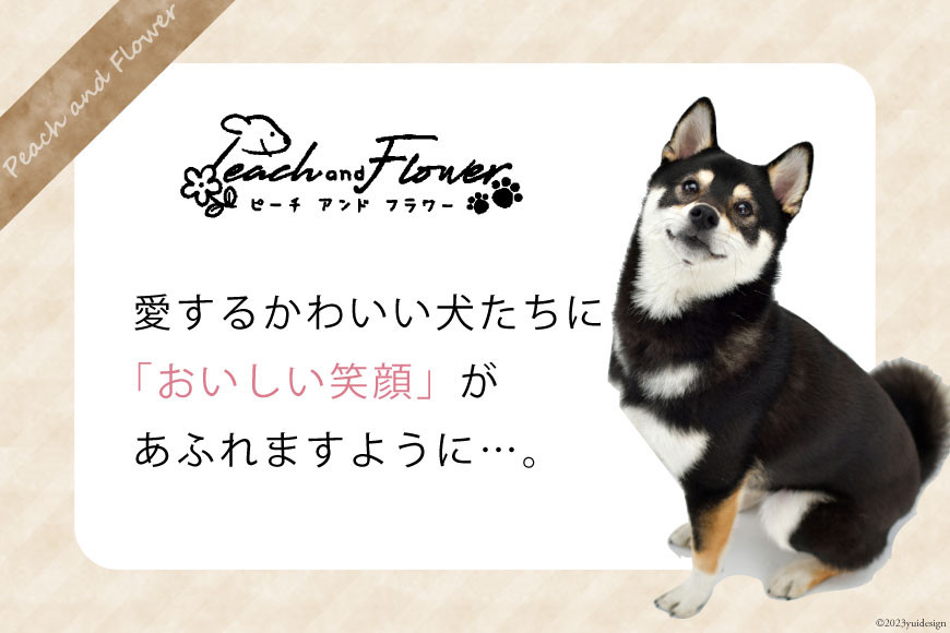 ドッグフード 無添加 鹿肉 ジャーキー 40g×5袋 ペット 犬用 おやつ エゾシカ [ピーチアンドフラワー 北海道 歌志内市 01227ae005]