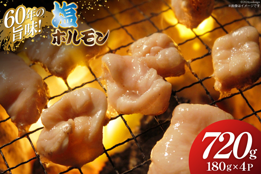 塩 ホルモン 180g × 4パック [木村精肉店 北海道 歌志内市 01227ai063] 小分け 冷凍 焼き肉 焼肉 おつまみ 豚