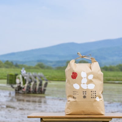 北海道産ゆめぴりか 栽培期間中農薬・化学肥料不使用 白米5kg×2袋【1382872】