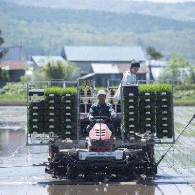 北海道産 特別栽培米ゆめぴりか 白米5kg【1439014】