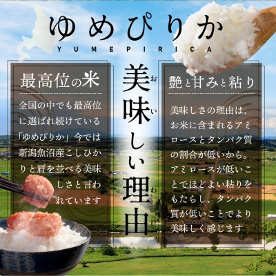 【令和6年産】北海道産ゆめぴりか5kg(5kg×1袋) 五つ星お米マイスター監修(深川産)【配送不可地域：離島・沖縄県】【1558660】