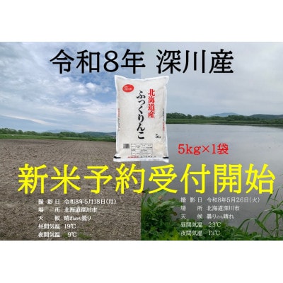 令和8年産 新米予約受付開始!! 北海道深川産 ふっくりんこ 精米 5kg×1袋【1741829】