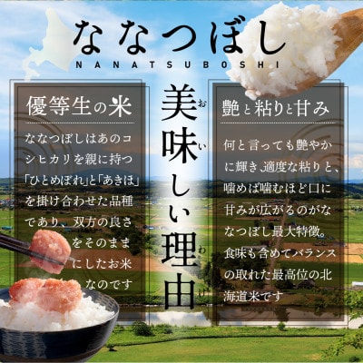 【令和6年産】北海道産ななつぼし5kg(5kg×1袋) 五つ星お米マイスター監修(深川産)【配送不可地域：離島・沖縄県】【1558658】