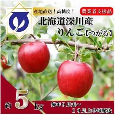 【令和6年産先行受付】北海道深川市産りんご(つがる)5kg【ふるさと納税】【配送不可地域：離島】【1298284】