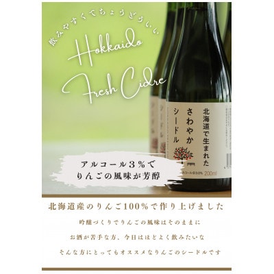 【果実炭酸酒】北海道産りんご100%使用　さわやかシードル200ml×24本【1487487】