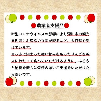 【令和6年産先行受付】北海道深川産りんご(つがる)10kg【ふるさと納税】【配送不可地域：離島】【1298286】