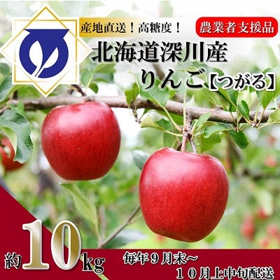 【令和6年産先行受付】北海道深川産りんご(つがる)10kg【ふるさと納税】【配送不可地域：離島】【1298286】