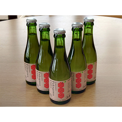 深川産りんご使用果実酒ふかがわシードル飲みきりサイズ5本【中口 200ml×5本セット】【1345825】